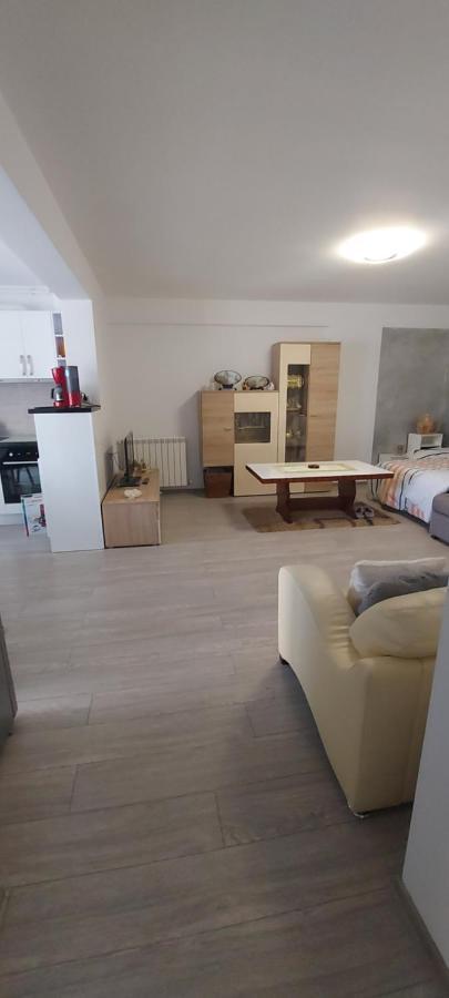 Apartament Nina Apartman Năvodari Kültér fotó